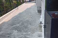 IMG-20250321-WA0025